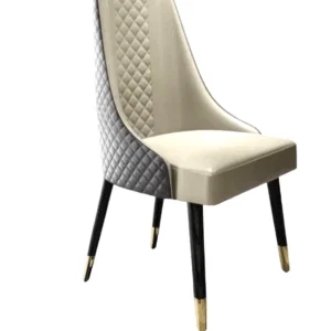 Dining Chair / Accent Chair Stylo