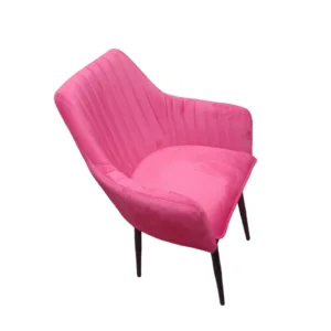 Accent chair / Dining Chair Hudson