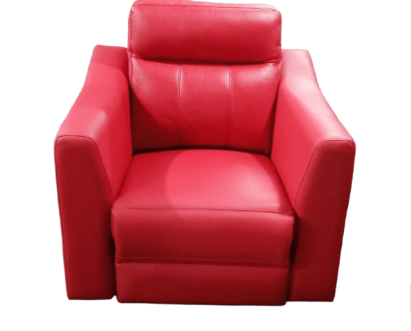 Recliner Bradley Single seater (custom) - Image 2